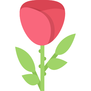 damask rose